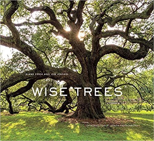 Wise Trees



Hardcover – Illustrated, October 17, 2017 | Amazon (US)