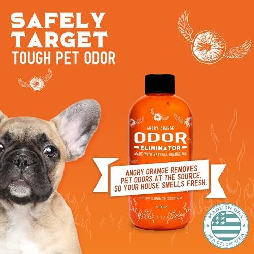 Angry Orange Pet Odor Eliminator for Dog and Cat Urine, Makes 1 Gallon of Solution for Carpet, Furni | Amazon (US)