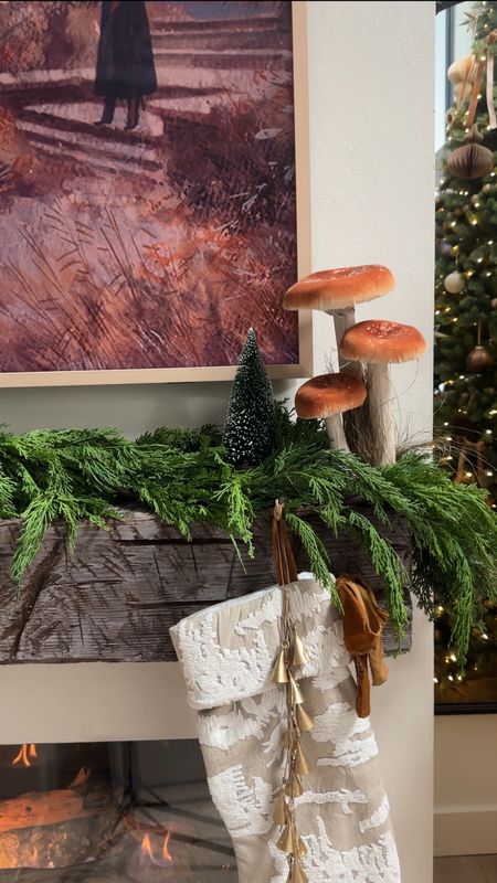Holiday mantel decor with mushroom and Christmas stocking

Mixed three 6’ northfolk Christmas garland with two 6’ party joy garland 


#LTKhome #LTKHolidaySale #LTKHoliday