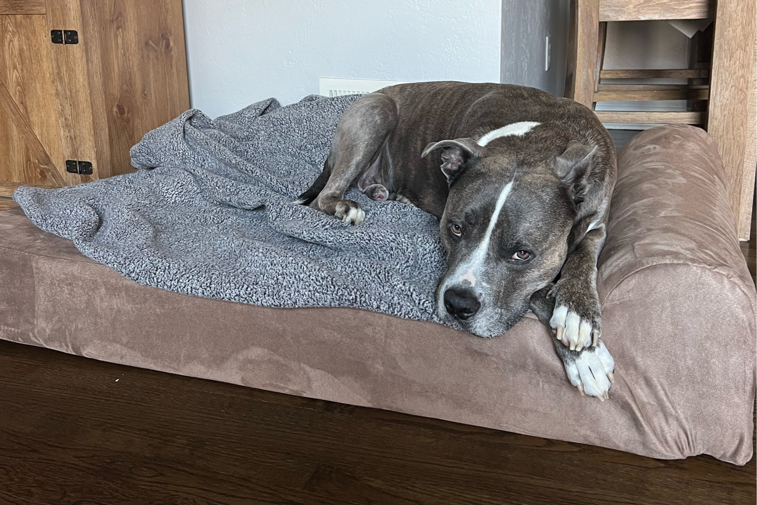 The Big Barker bed has been perfect for King since he’s been recovering. It’s orthopedic and specifically made for large breeds. He loves it! 

#LTKhome