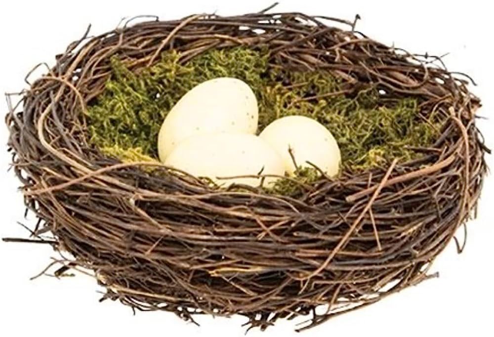 The Bridge Collection Artificial Bird's Nest with Eggs for Easter/Spring Decor (Cream Eggs) | Amazon (US)