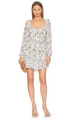 Carina Dress
                    
                    ASTR the Label
                
           ... | Revolve Clothing (Global)