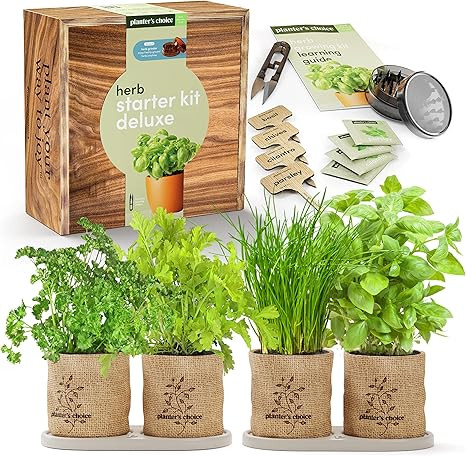 Herb Garden Starter Kit Deluxe - Culinary Herb Gardening Seeds for Indoor Home Planting with Wood... | Amazon (US)
