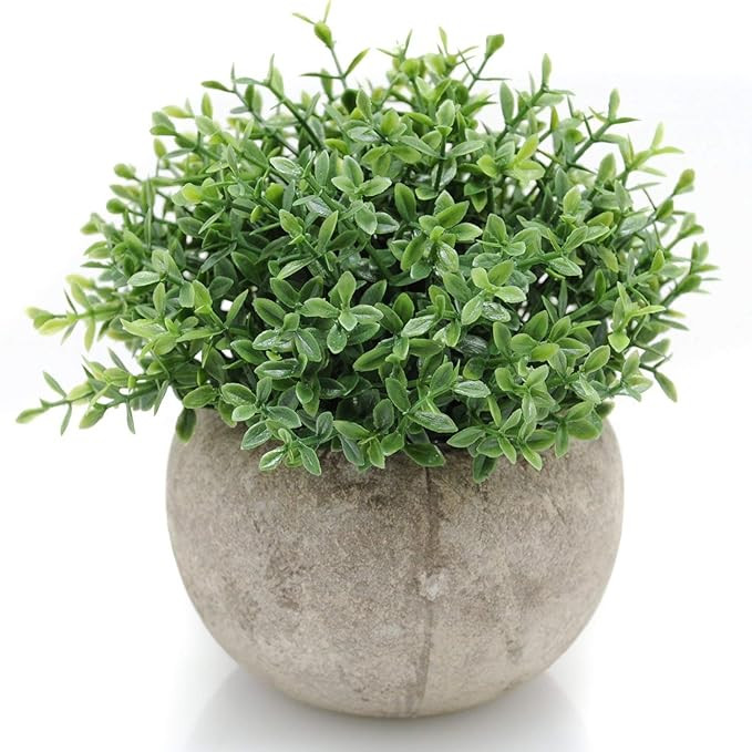 Velener Mini Plastic Artificial Plants Benn Grass in Pot for Home Decor (Green) | Amazon (US)