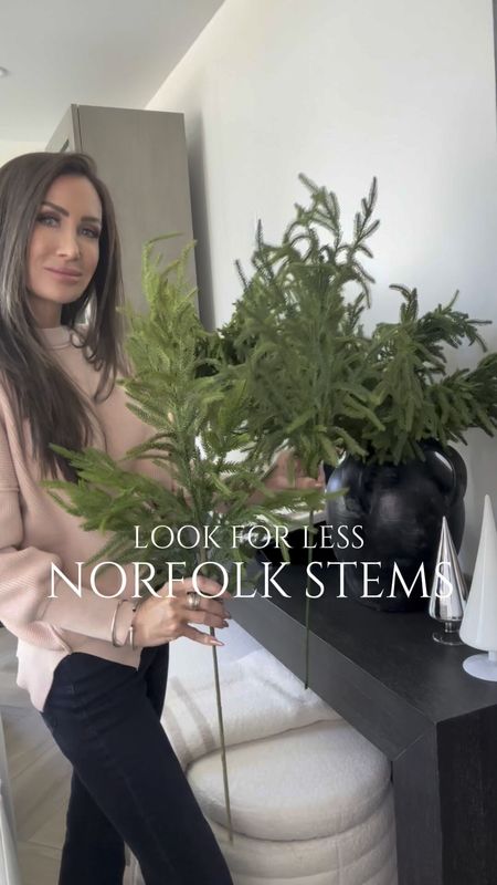 Look for less on the viral Norfolk stems! I’ve gotten years out of these beautiful stems for $28 each …but now there is a gorgeous option that has that same real touch feeling or much less!
Both are 36” tall and beautiful 
Christmas decor, home decor, organic modern Christmas 
Linking similar stems bc they are selling out fast!
#ltkseasonal


#LTKstyletip #LTKHoliday #LTKhome