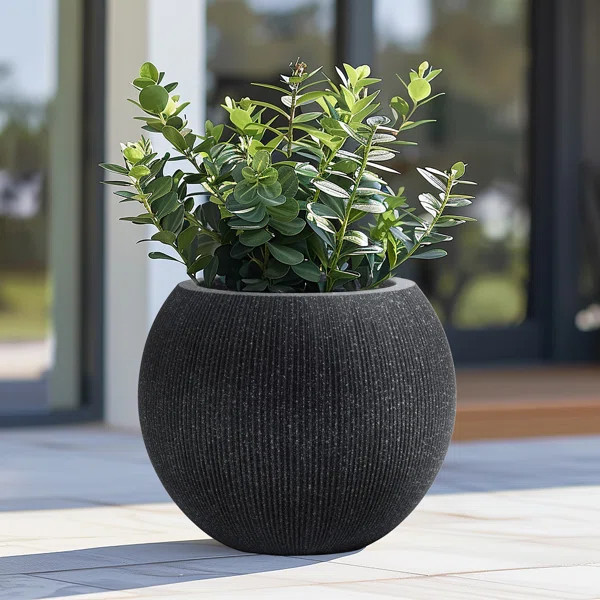 Anjonette 14.5" Mediterranean Round Bowl Plastic Pot Planter | Wayfair North America