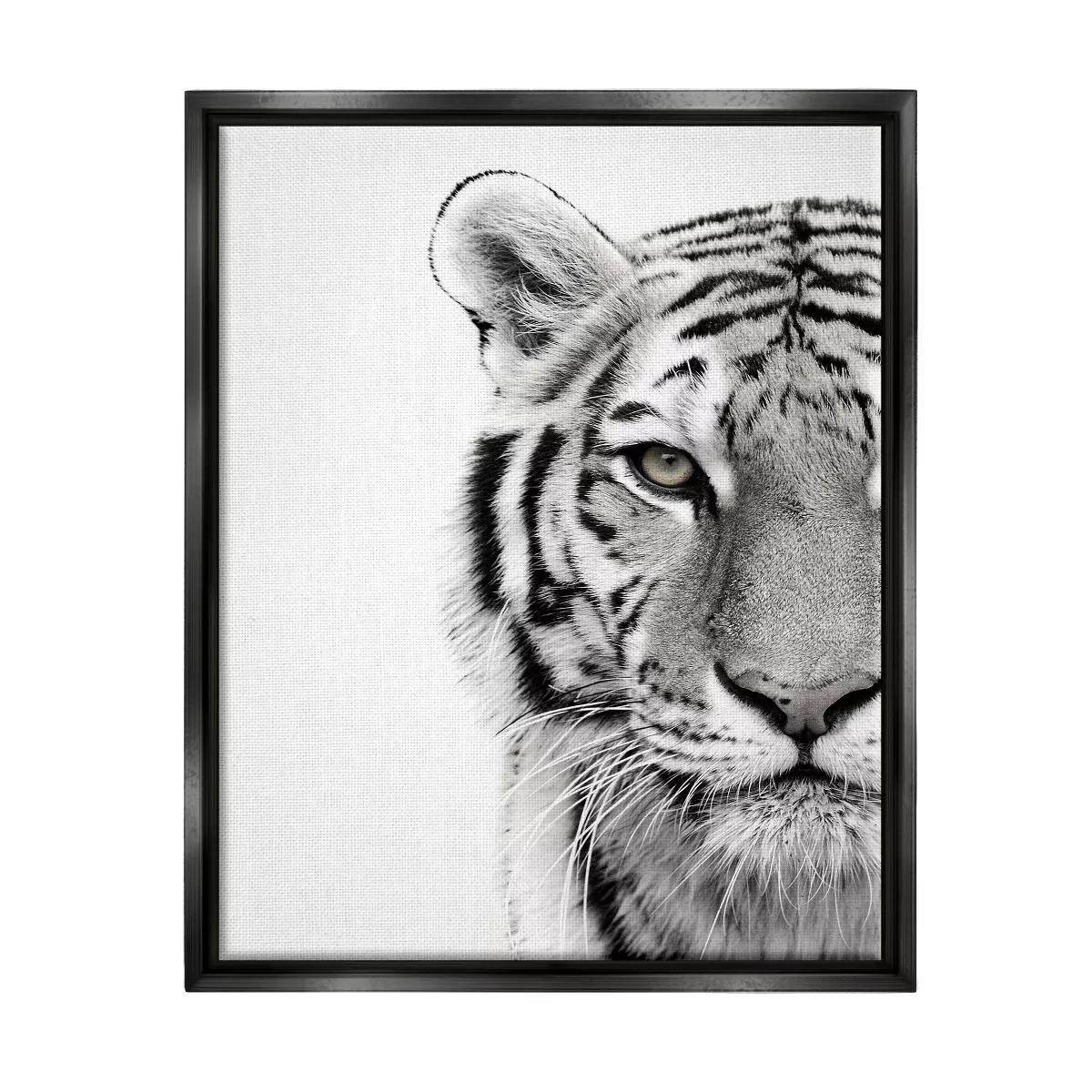 Stupell Industries White Tiger Close Up Black and Photography | Target