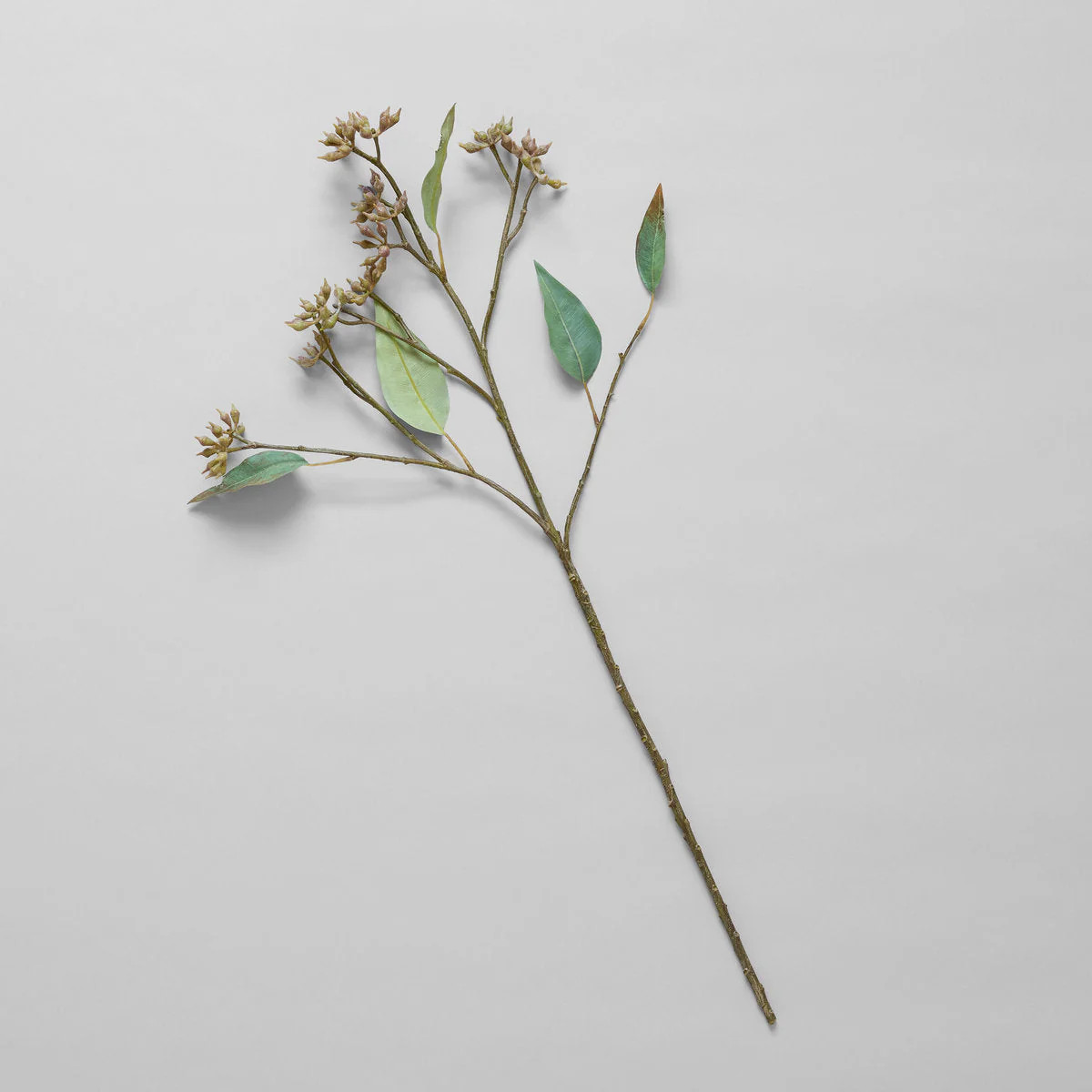 EcoFaux Eucalyptus Seed Branch | Bloomist, Inc