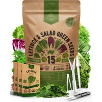 15 Lettuce & Salad Green Seeds Variety Pack 17700+ Non Gmo Heirloom For Indoors & Outdoors Garden | Etsy (US)