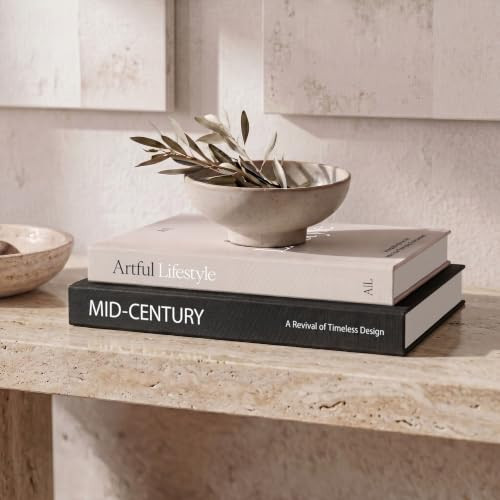 Aesthetic Decorative Books - Set of 2 Stylish Boxes Enhance Your Coffee Table, Bookshelf or Mantel Decor - Beautiful Fake/Faux Books for Modern Home Decoration, Photo Storage and as a Keepsake Box | Amazon (US)