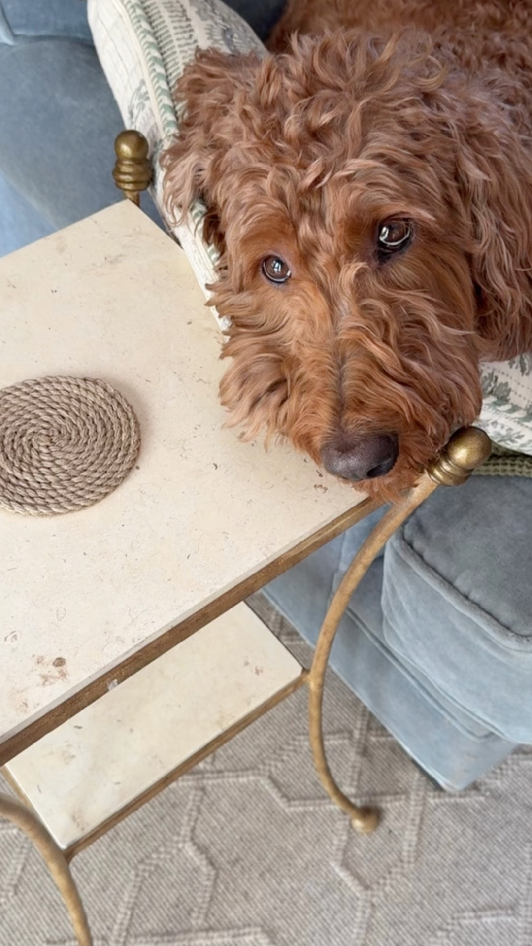 Spring picks for the living room

#LTKHome