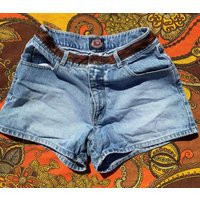 Paris Blues Denim Shorts | Etsy (US)