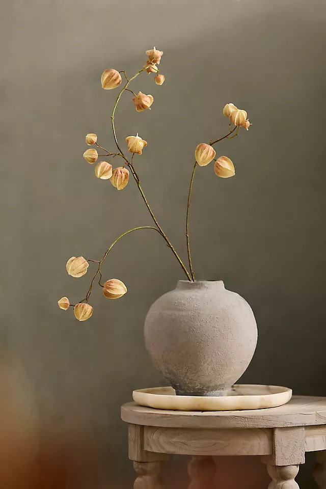 Faux Physalis Pod Spray | Anthropologie (US)