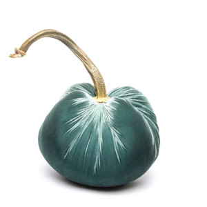 Wedgewood Silk Velvet Pumpkin | Hot Skwash