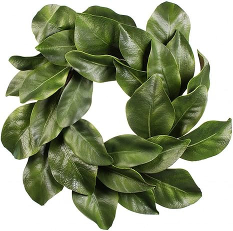 American Best Christmas Quality Magnolia Leaf Grapevine Wreath 16" | Amazon (US)