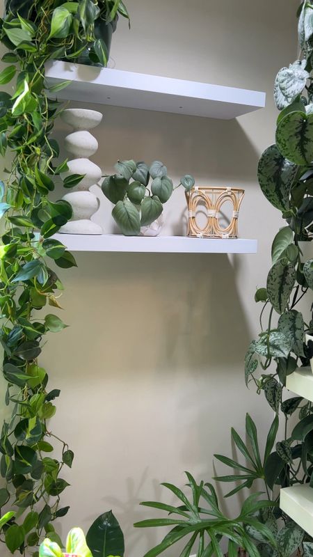 New planty corner! I love the white floating shelves and I also added a new grow light by barrina! It’s so bright and I love this space so much! 

#LTKstyletip #LTKunder50 #LTKGiftGuide