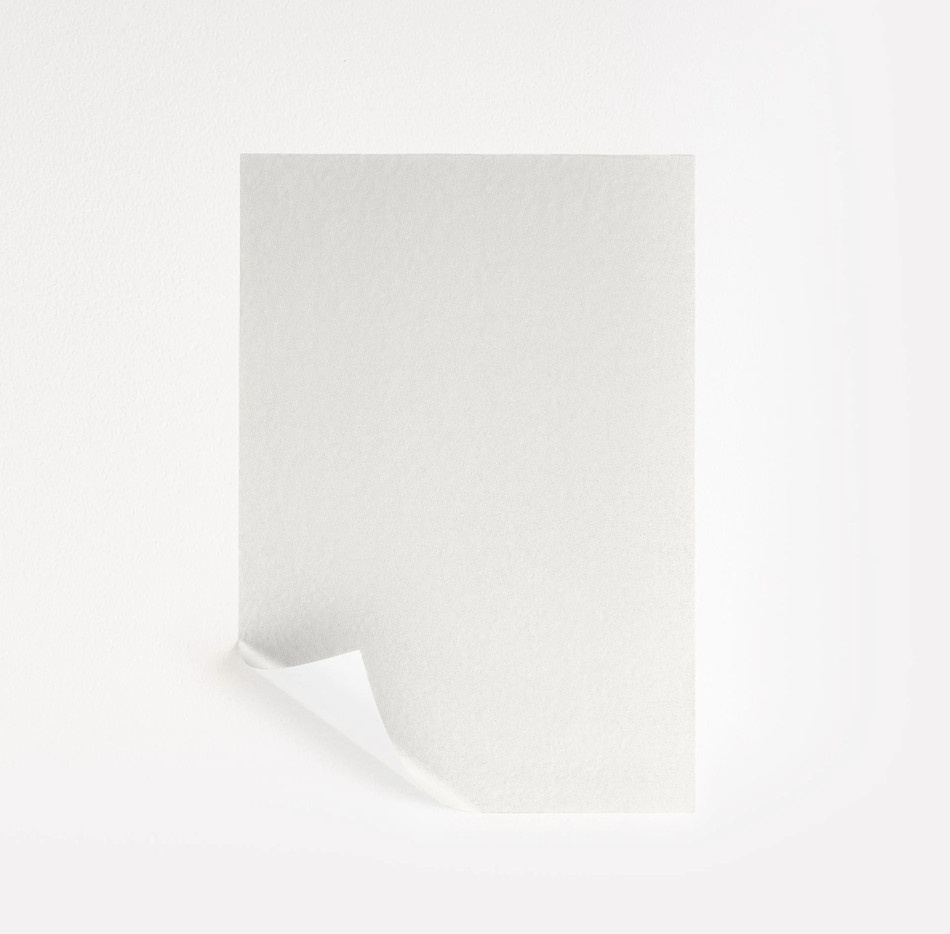 High Reflective White | Samplize