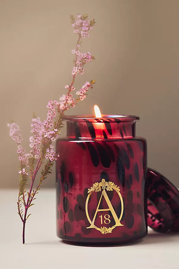 Apothecary 18 Floral Spiced Pomander & Balsam Glass Jar Candle | Anthropologie (US)