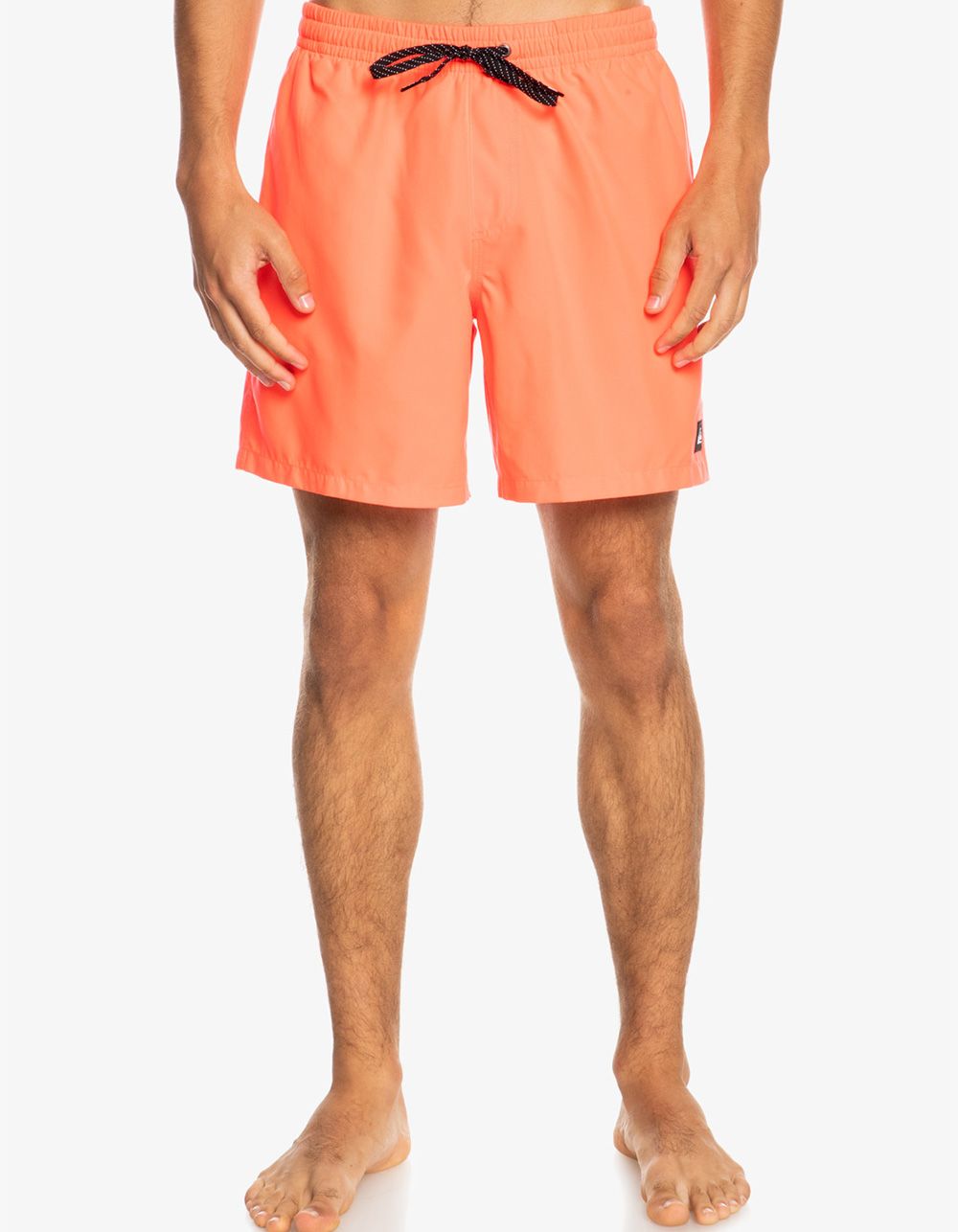 QUIKSILVER Everyday Mens 17" Volley Shorts | Tillys