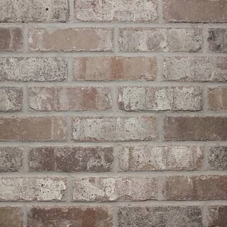 Old Mill Brick Rushmore Thin Brick Singles - Flats (Box of 50) - 7.625 in. x 2.25 in. (7.3 sq. ft... | The Home Depot