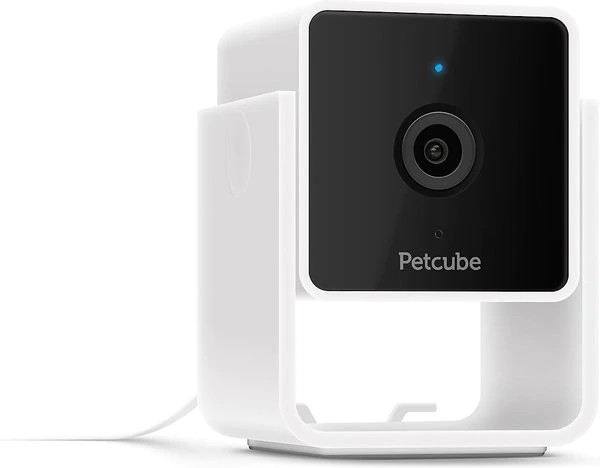 Petcube Cam HD Monitoring with Vet Chat Pet Camera | Chewy.com