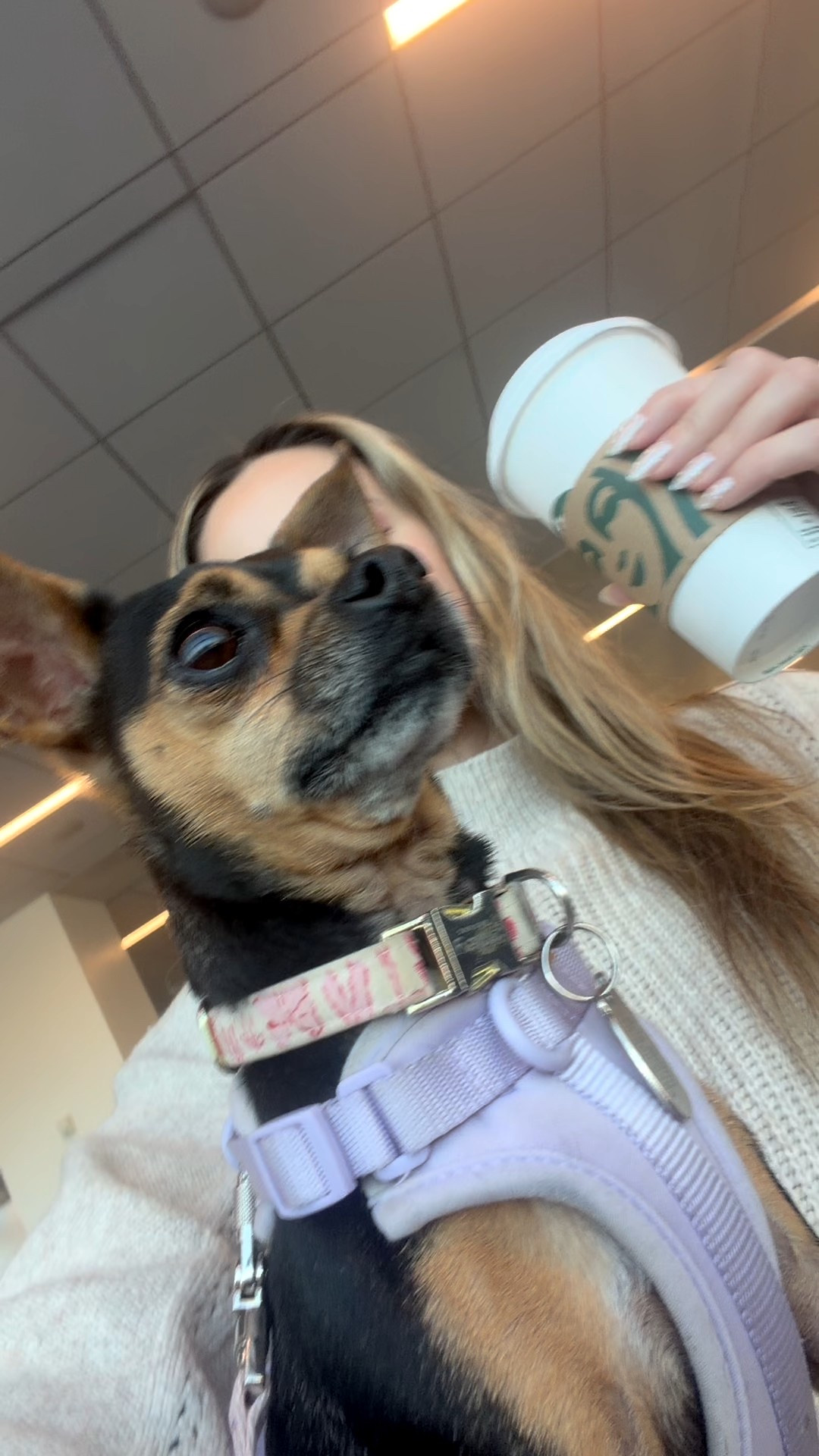 My travel buddy loves her wild one harness 

#LTKTravel