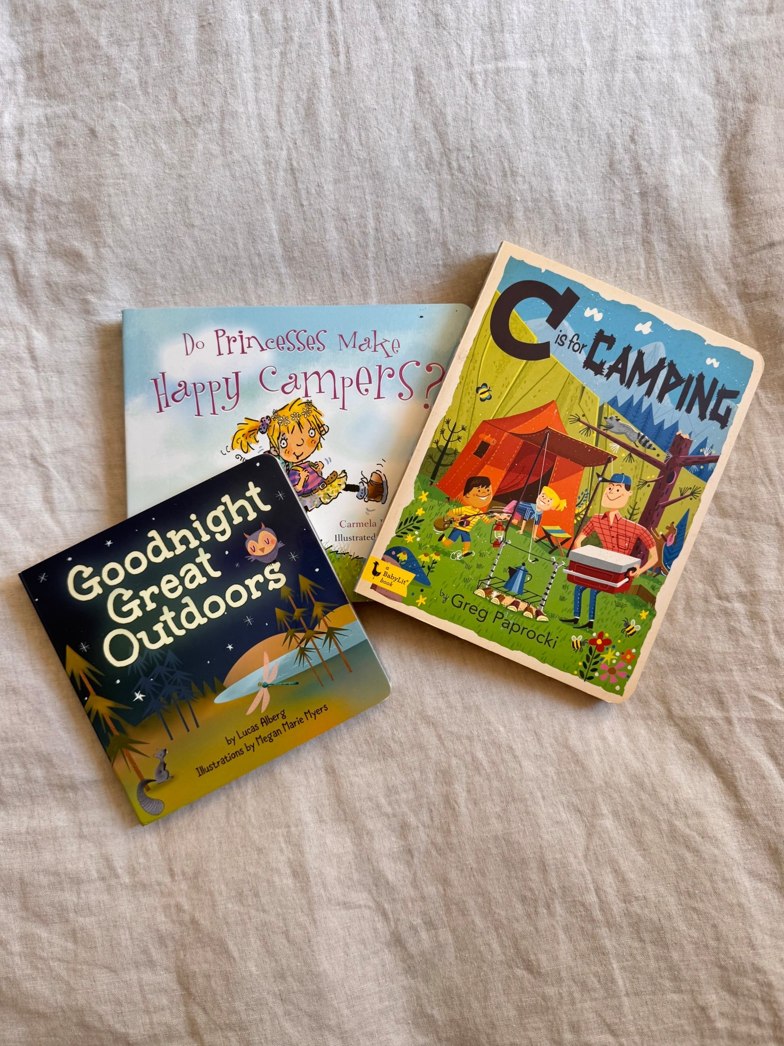 Our go-to book line-up for camping trips! ⛺️

#LTKKids #LTKTravel #LTKBaby