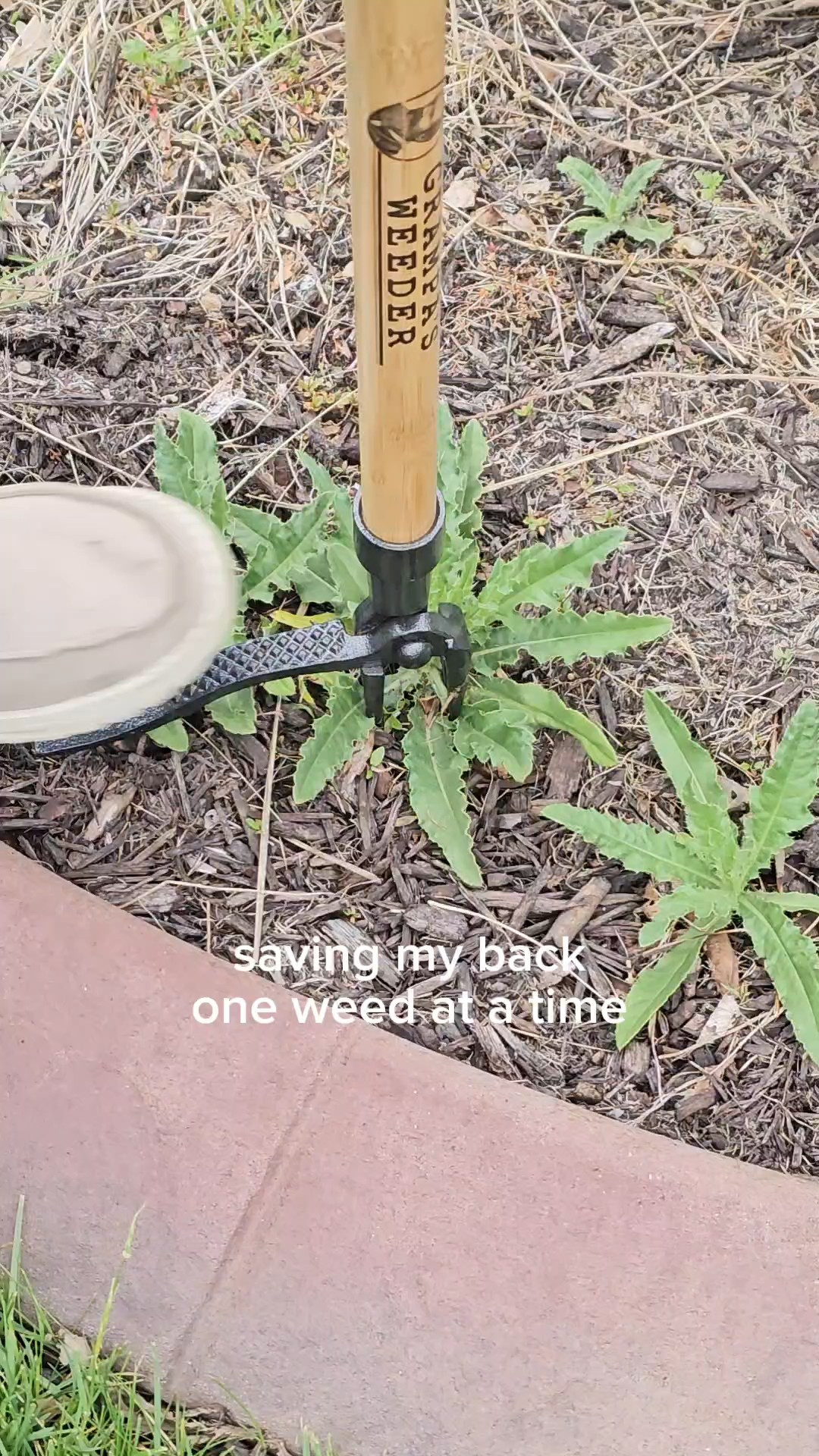 Favorite tool to pick weeds by the roots!

#LTKHome #LTKmomlife #LTKdayinmylife
