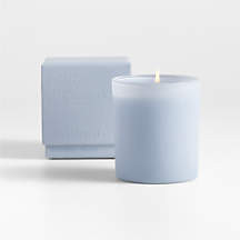 Monochrome No. 10 Ocean 1-Wick Candle - Sea Salt, Lily of the Valley and Driftwood + Reviews | Cr... | Crate & Barrel