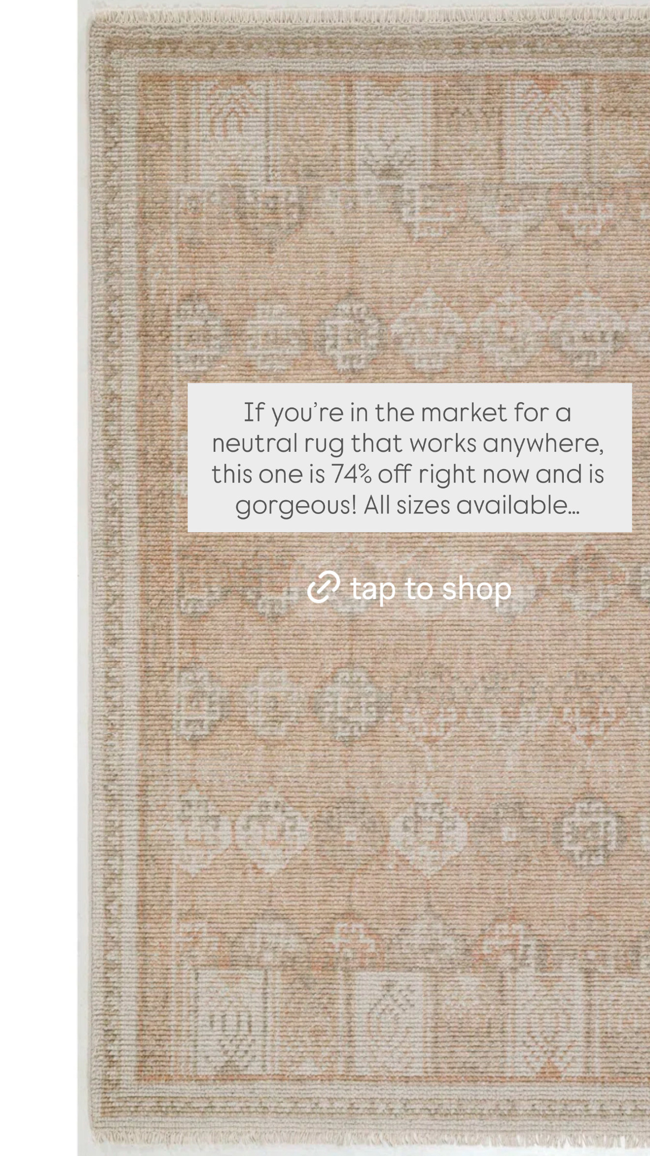 If you're looking for a gorgeous neutral rug that will look beautiful in any room, I found this stunner on closeout sale! Its 74% off and such a steal. Perfect for a bedroom, dining room, living room or entryway -- all sizes currently available!  

 #LTKSeasonal #LTKHome #LTKSaleAlert