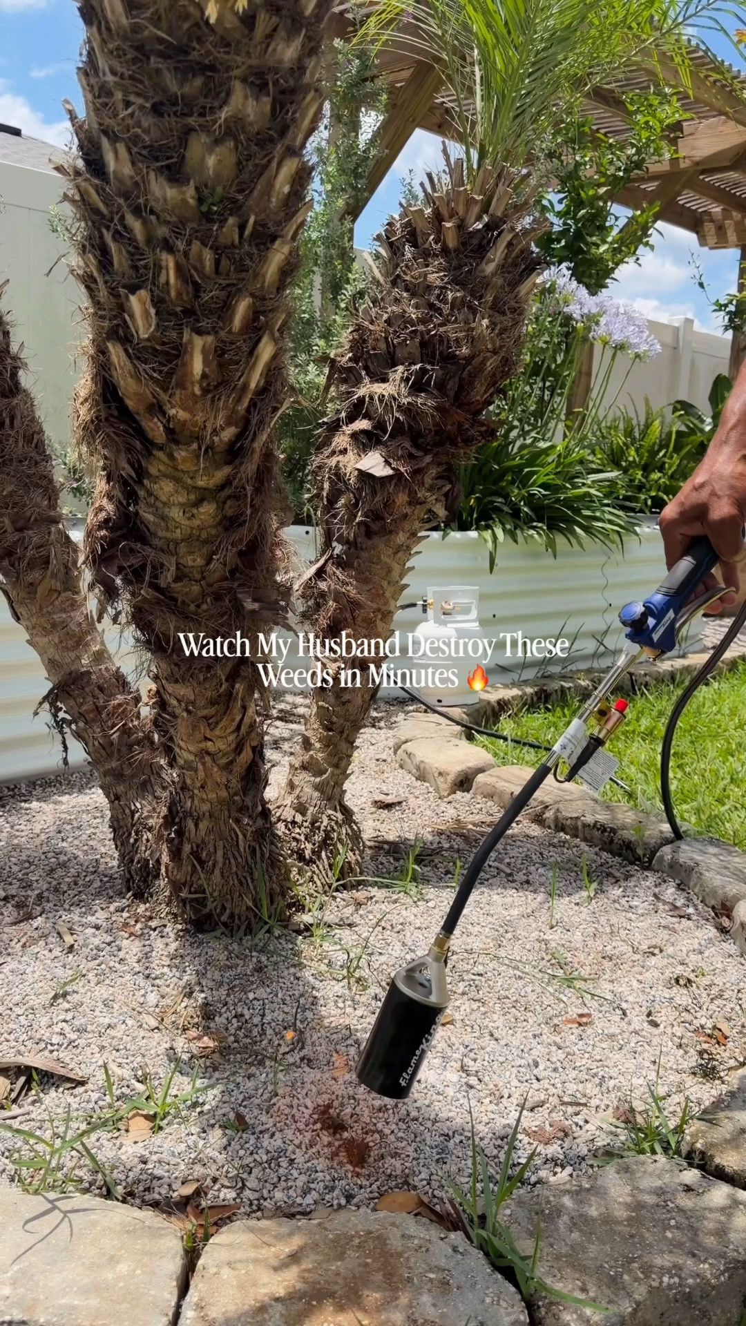 Non toxic way to kill the weeds in minutes 🌿 Yard must have

#LTKHome