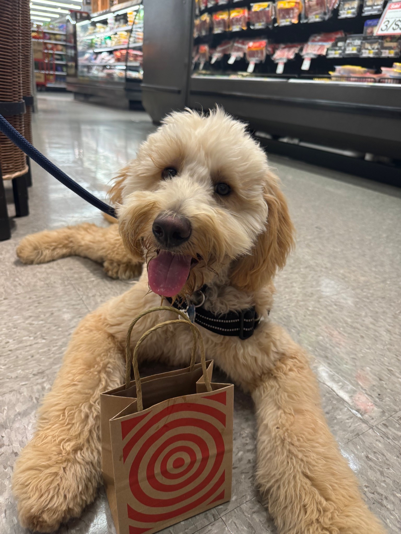 The CUTEST mini target shopping bags! 

#LTKKids #LTKParties #LTKPets