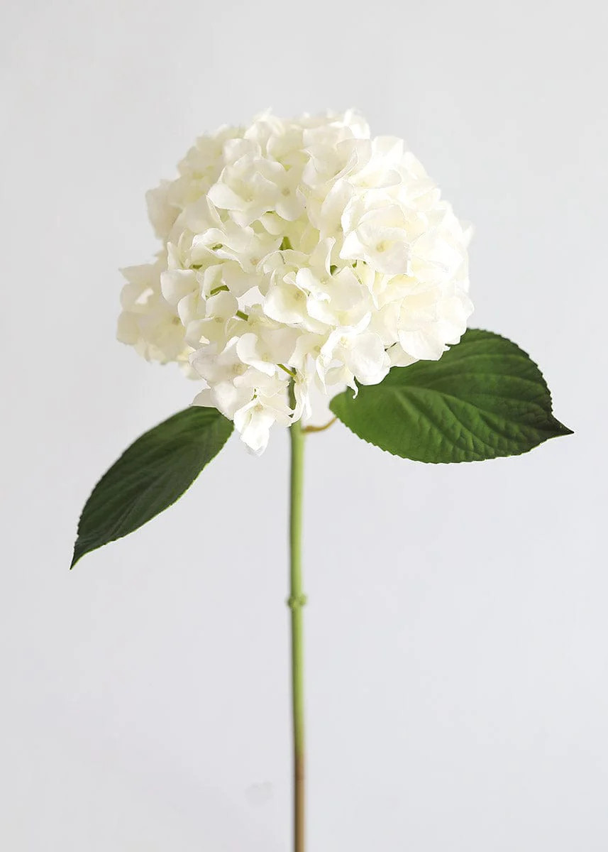 Real Touch Hydrangea in Talc White  - 18" | Afloral