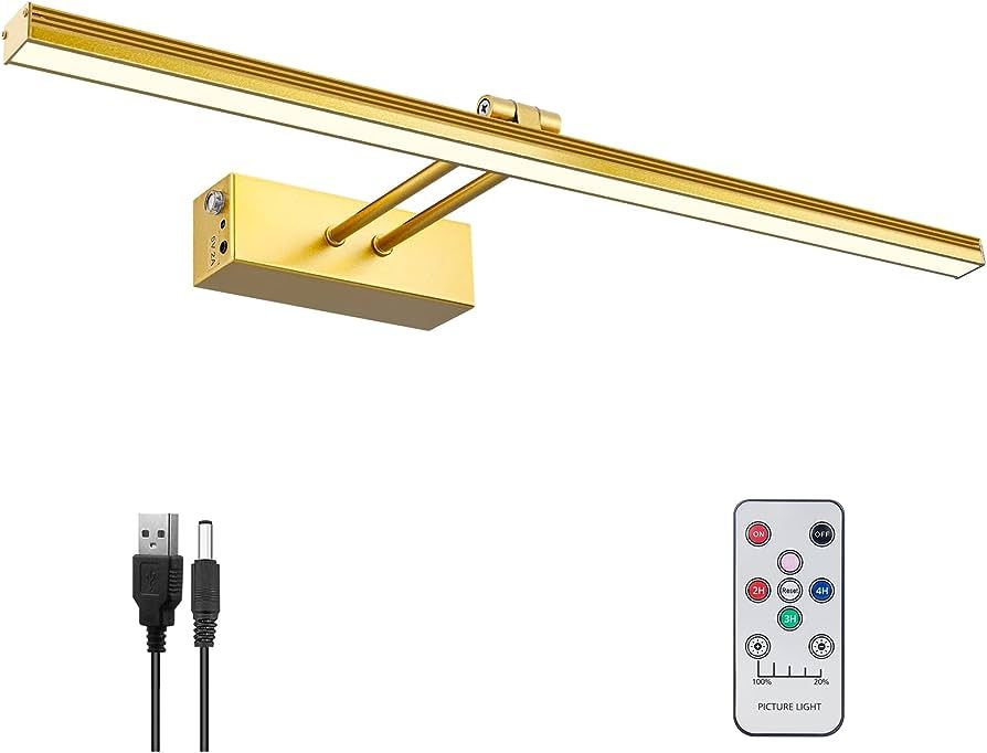 FUNCHDAY Picture Light,5000mAh Battery Operated Picture Light for Wall,Wireless Remote Painting Light with Timer and Dimmable,16”Metal Art Light for Display,Artwork,Portrait,Gallery-Gold | Amazon (US)