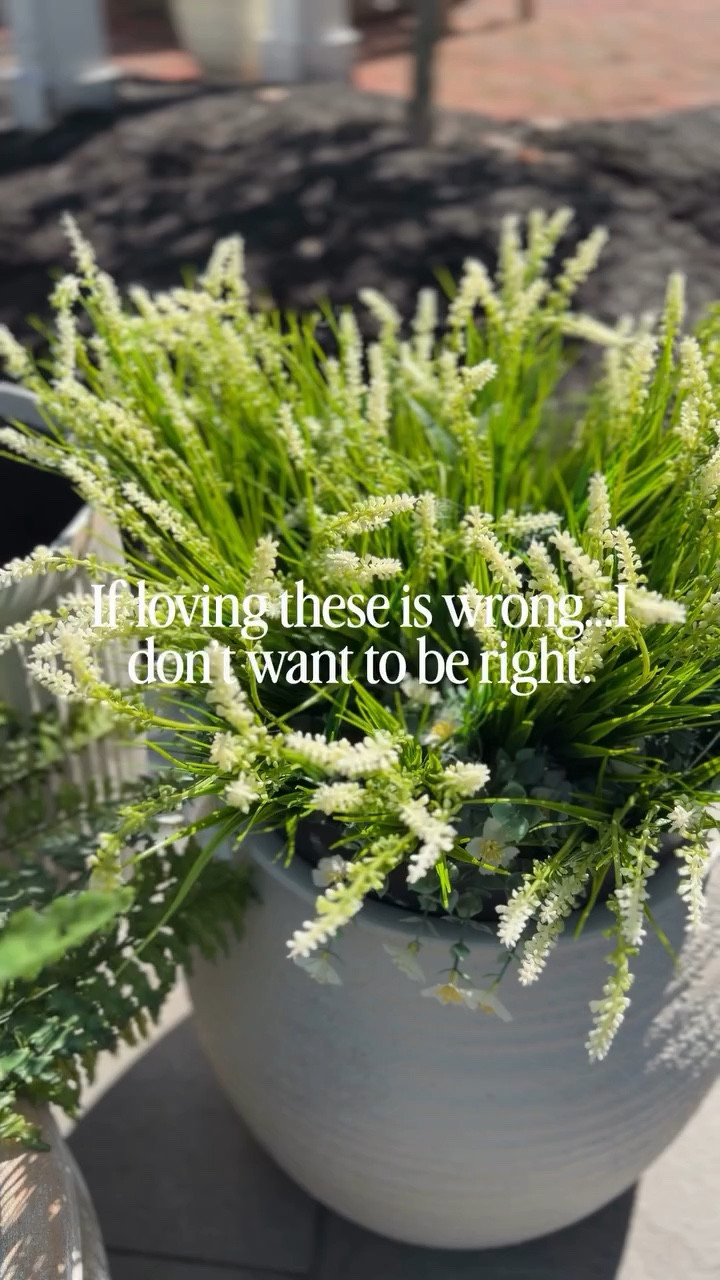 If these are wrong… I don’t wanna be right 🤍✨
Because tell me why these look better than real flowers AND I don’t have to replace them every week 🙃🌿

No watering. No wilting. Always pretty.

If you’ve been thinking about making the switch… this is your sign 👀
Follow and comment SHOP before they’re gone 💐