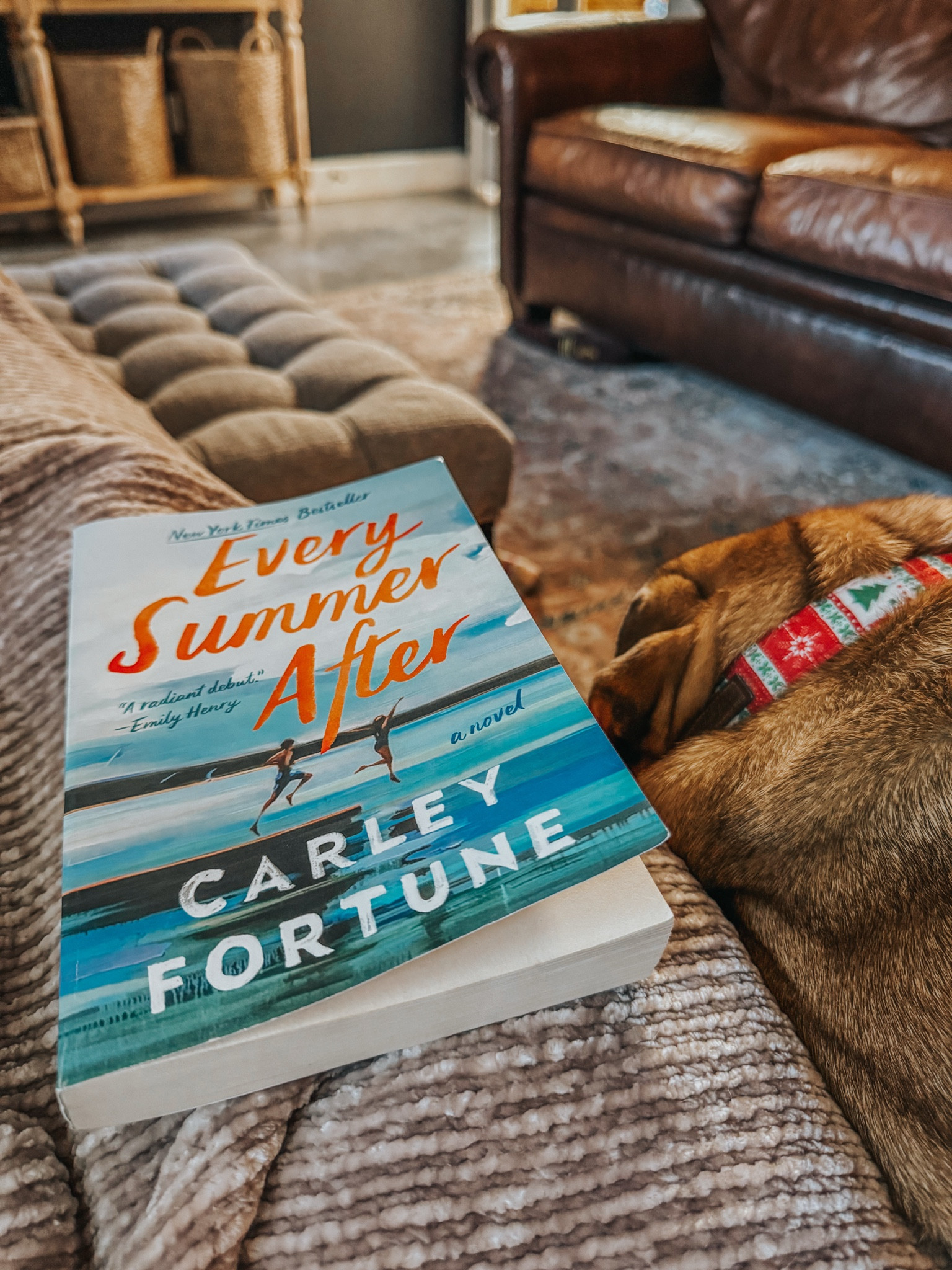 Book #1 of 2025

#LTKSaleAlert #LTKGiftGuide