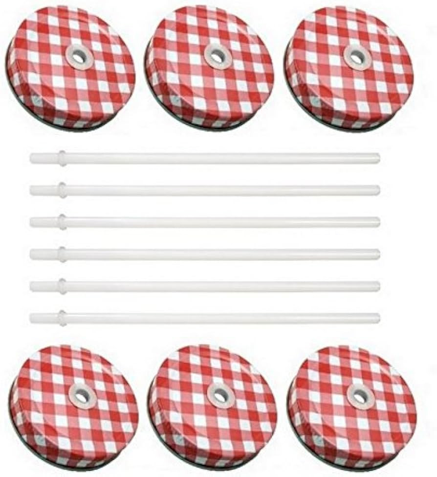 Sunshine Mason Co. Mason Jar Lids with Straws 6 Pieces (Red Gingham Lids - White Straws) | Amazon (US)