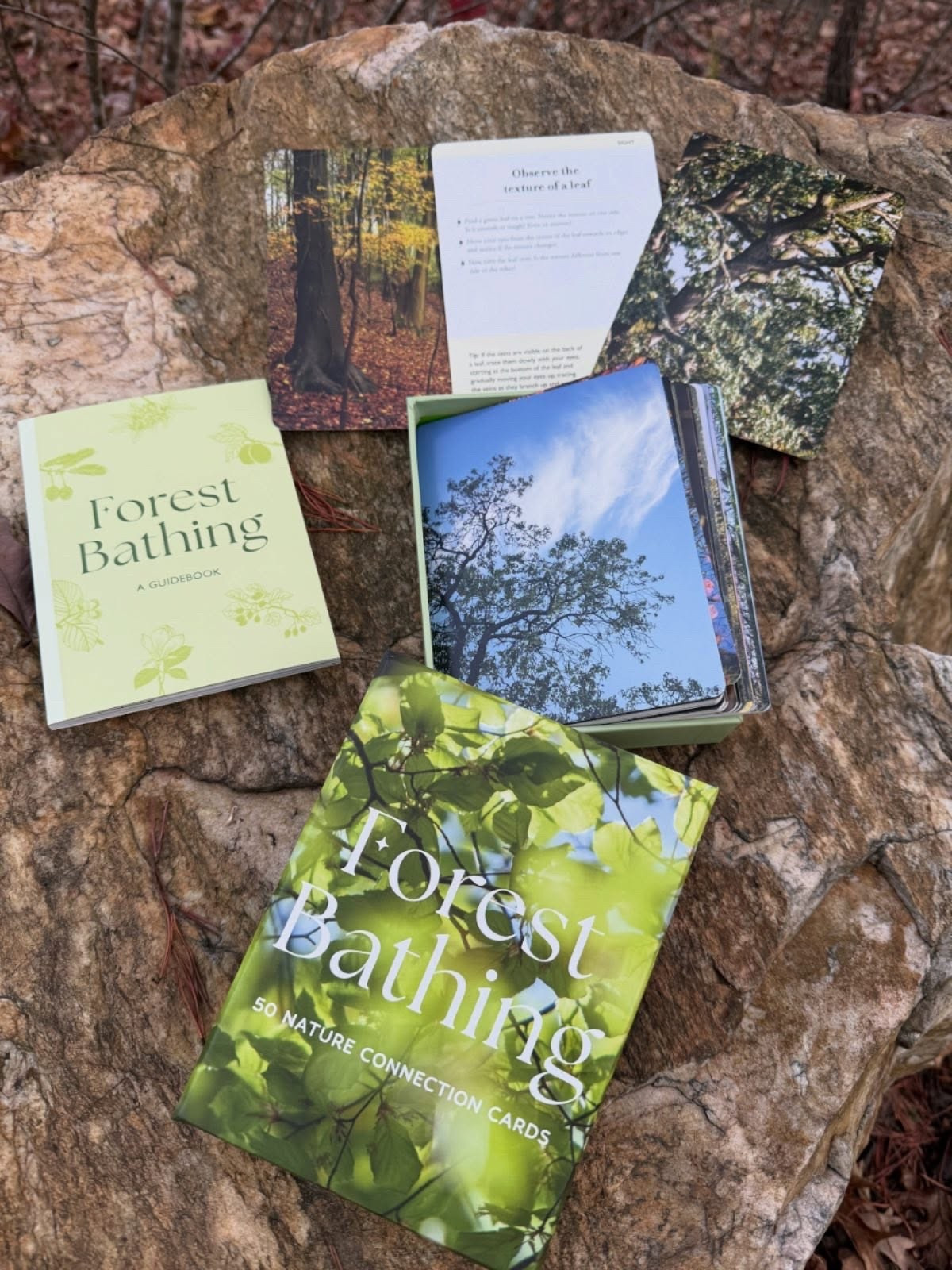 ✨ Book Spotlight ✨
Forest Bathing 

Synopsis: 
“Reap the mental and physical benefits of forest bathing with this essential toolkit, complete with 50 beautifully designed nature connection exercise cards and a 64-page guidebook.
This kit provides an uplifting, screen-free introduction to forest bathing with simple and easy-to-follow exercise prompts stunningly and accessibly presented on individual cards. In the accompanying booklet, explore the origins, science and benefits of this increasingly popular practice and find advice and simple sequences to enhance your own mindful walk in the woods.”

I’m excited for this one because it feels like such a beautiful way to slow down and be more mindful on my daily walks. I want to try it out with my students too.

What’s your favorite way to reset — a quiet walk, a good book, or something else entirely?

Thanks @quartobooksus for the #gifted copy!

#ForestBathing #NatureMindfulness #MindfulMoments #BookSpotlight #Bookstagram #Gifted #NatureLovers #OutdoorWellness #MindfulLiving #BookishLife #ReadingCommunity #SlowLiving #SelfCareTools #WalkInTheWoods