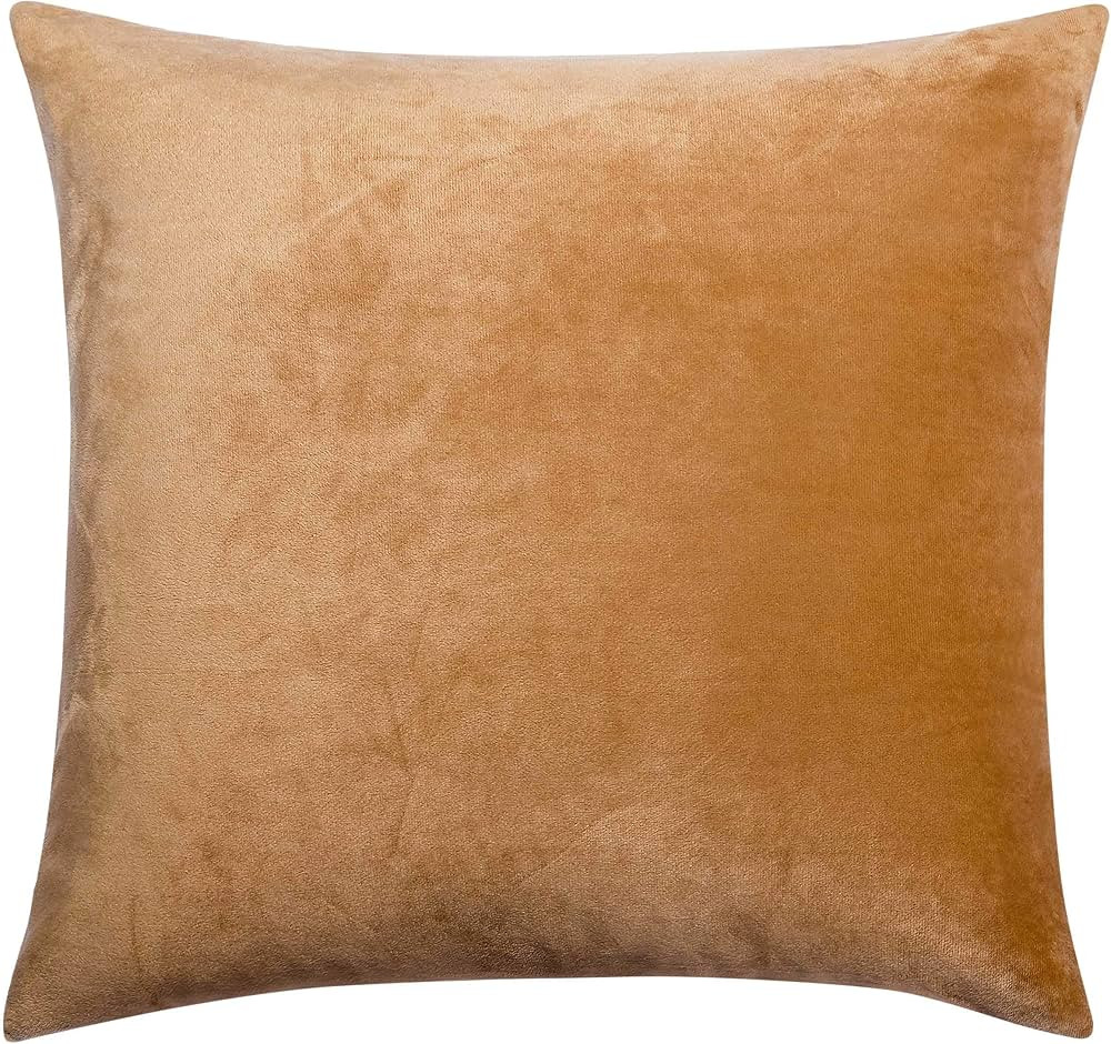 NTBAY Velvet Square Zippered Throw Pillow Cover, Super Soft and Luxury Decorative Euro Cushion Co... | Amazon (US)