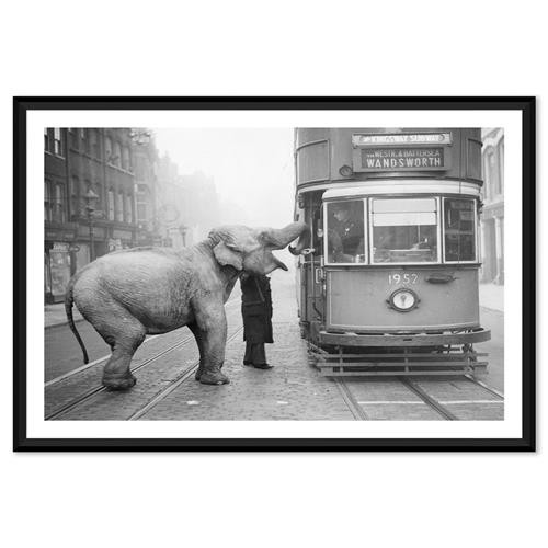 Photos by Getty Images Fox Photos Mae West Elephant Black Frame Photograph - 25x17 | Kathy Kuo Home