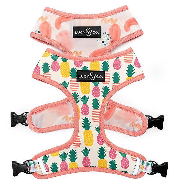 Lucy & Co. Poolside Chillin Reversible Dog Harness | PetSmart