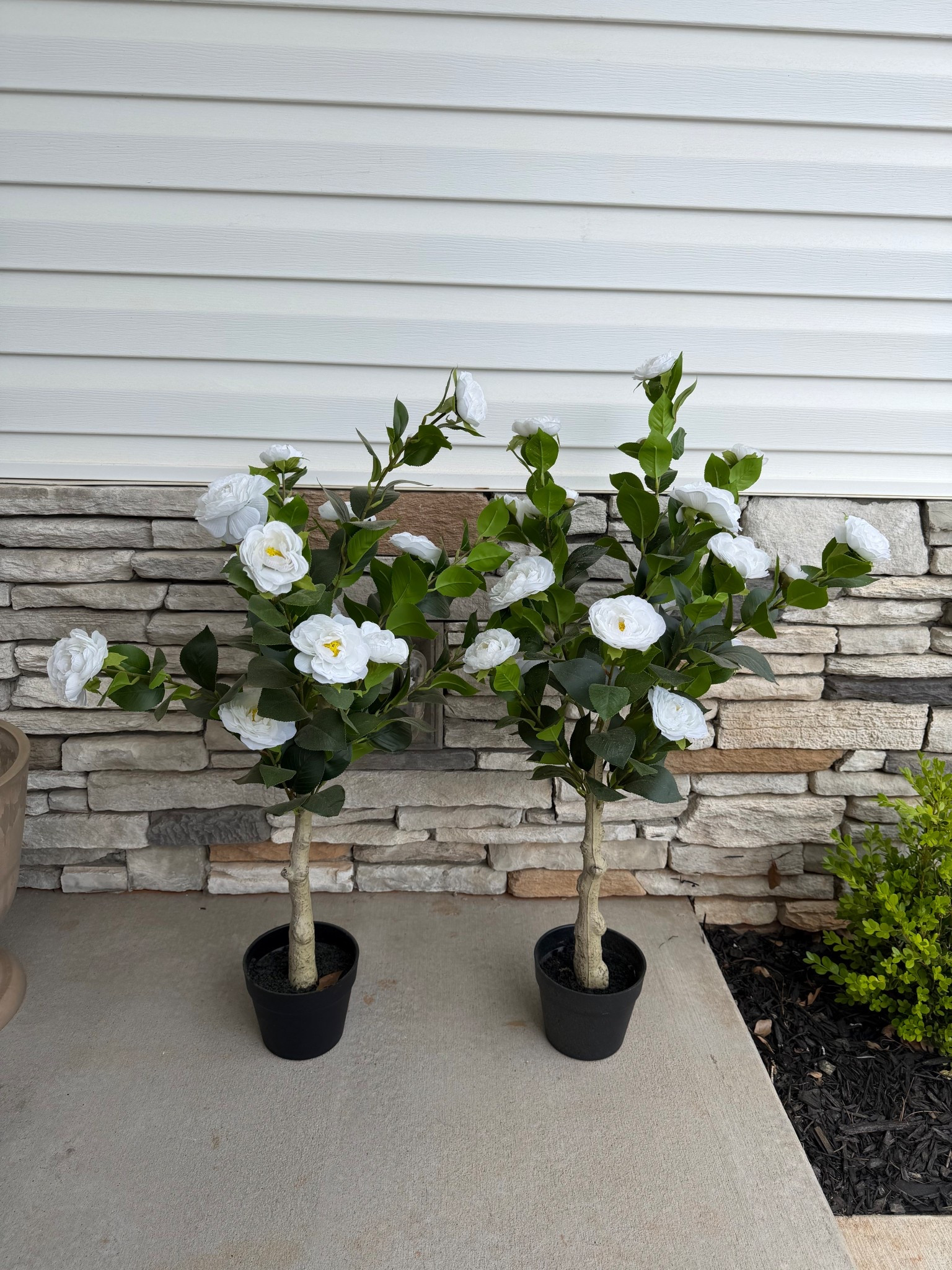 Beautiful outdoor faux plants with white flowers 

#LTKHome #LTKFestival #LTKSeasonal