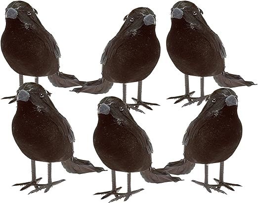 Prextex Halloween Black Feathered Small Crows – 6 Pc Black Birds Ravens Props Décor Halloween ... | Amazon (US)