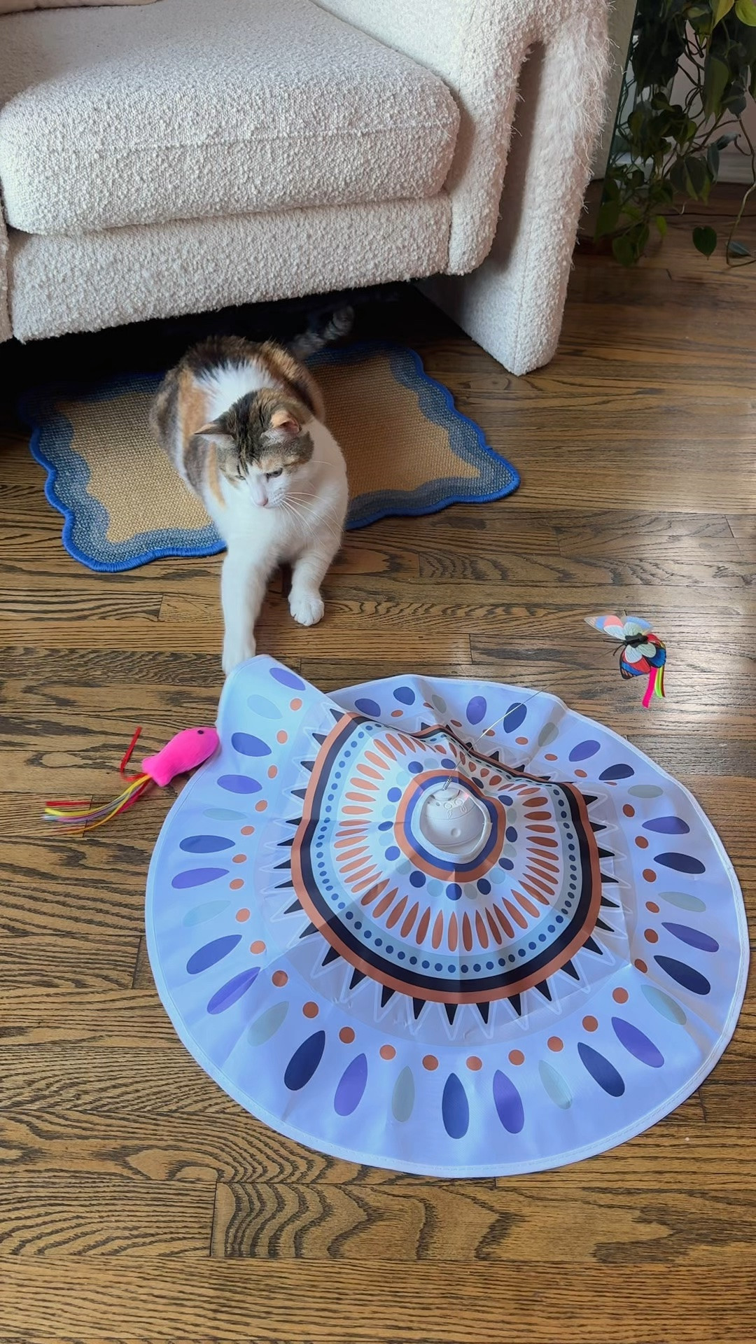 fav new cat toy!! hide + seek automated with multiple speed settings! They love the crinkle fabric + chasing the toys!

#pet #cat #cattoy