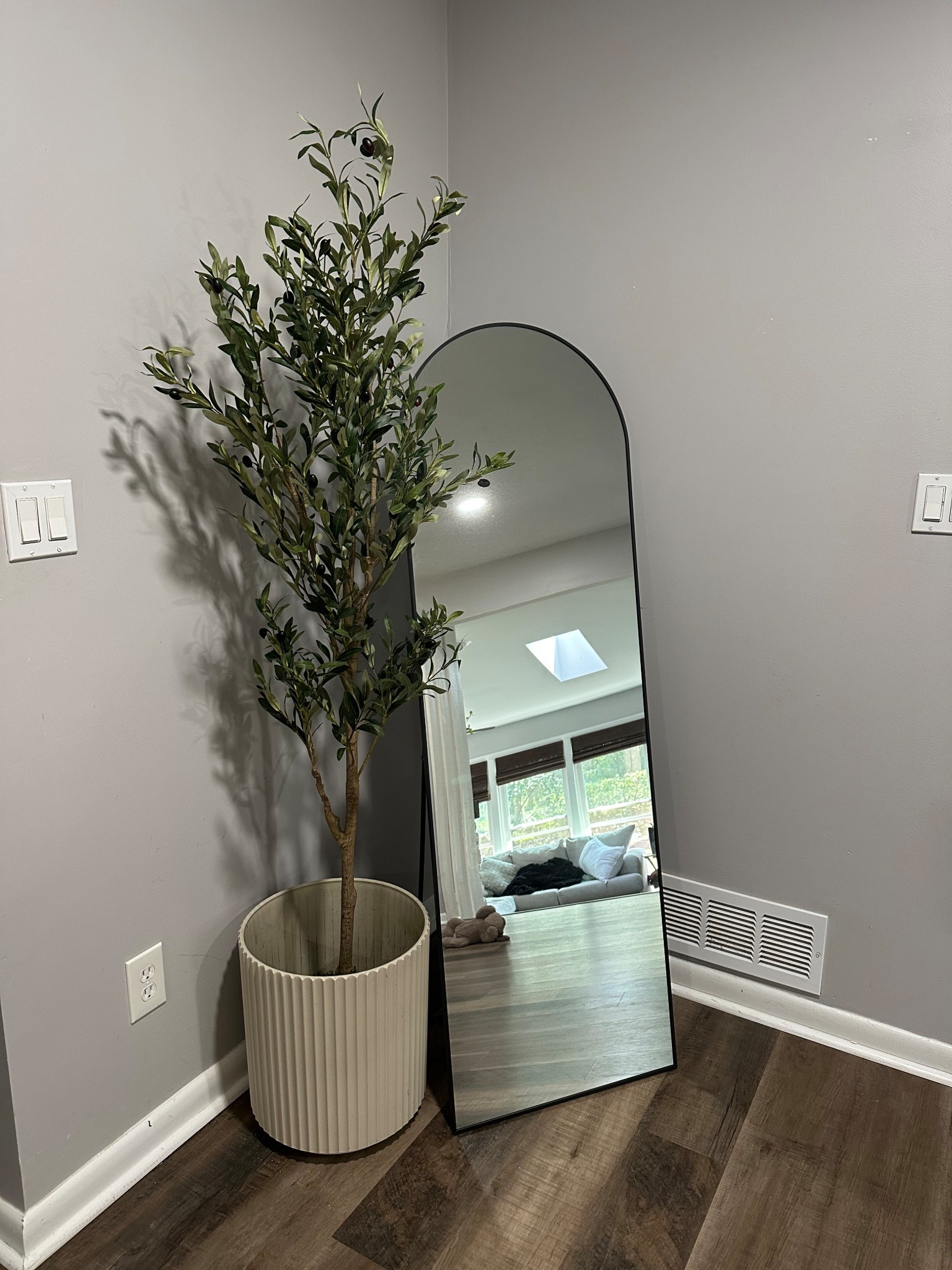 mirror corner 🪞🪴

#LTKFindsUnder100 #LTKStyleTip #LTKHome