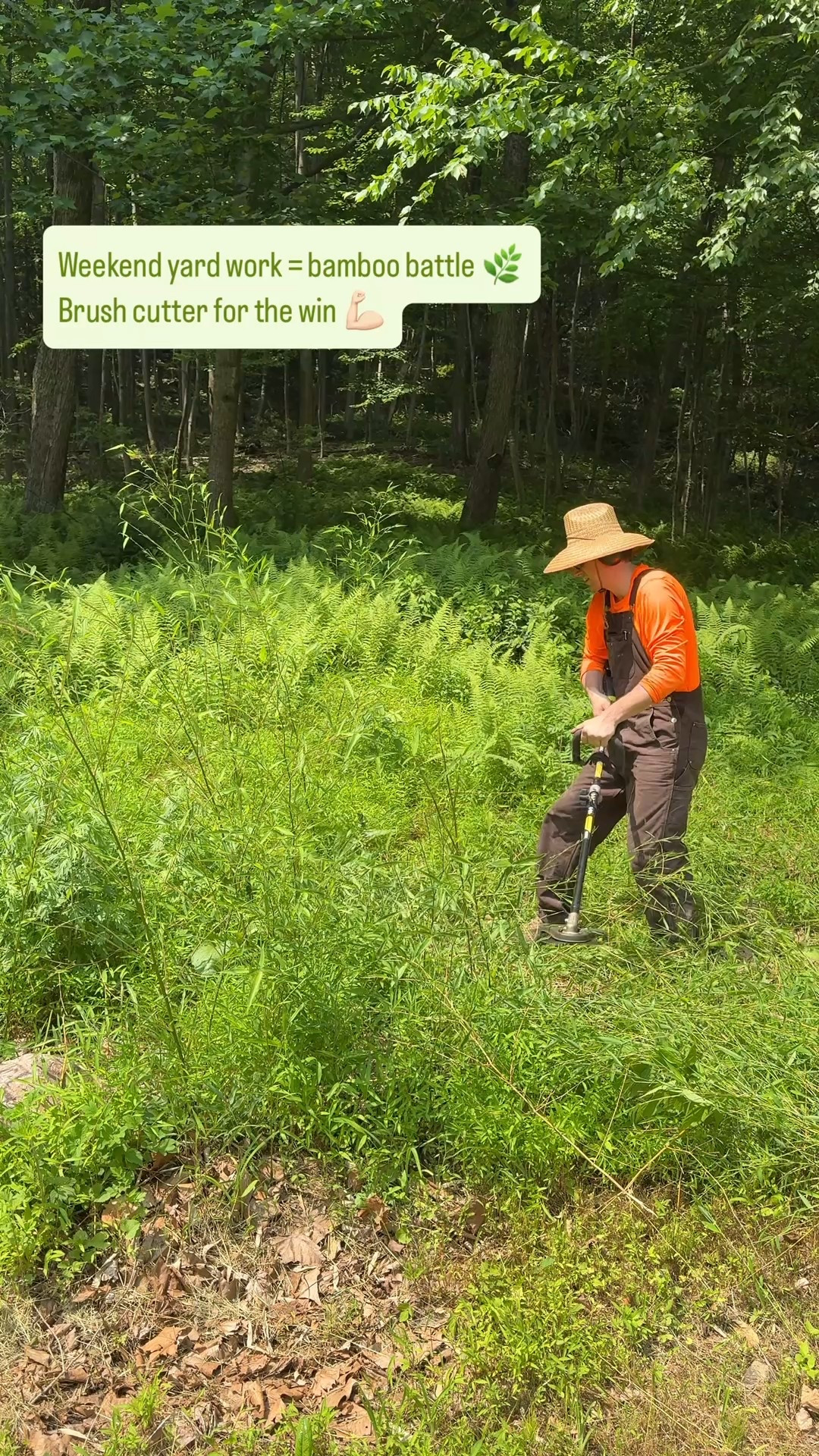 Trying to get rid of bamboo in your yard is a lifetime work but thankfully, we have this Ryobi bush cutter that is super helpful to make it easier. 

#LTKMens #LTKHome #LTKActive