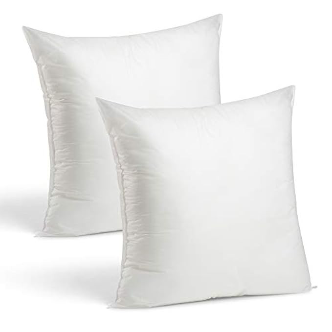 Set of 2-24 x 24 Premium Hypoallergenic Stuffer Pillow Insert Sham Square Form Polyester, Standard/W | Amazon (US)