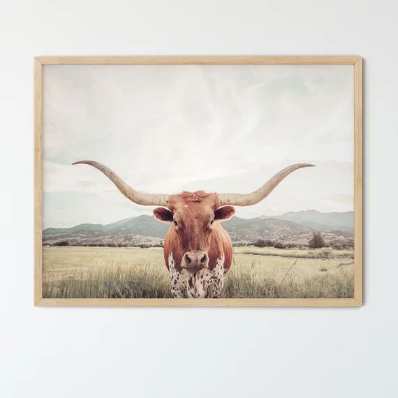 FRAMED Texas Longhorn Cow Print | Etsy (US)
