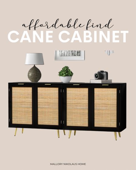 How amazing is this black and cane cabinet from Walmart?

#LTKfamily #LTKhome #LTKbump