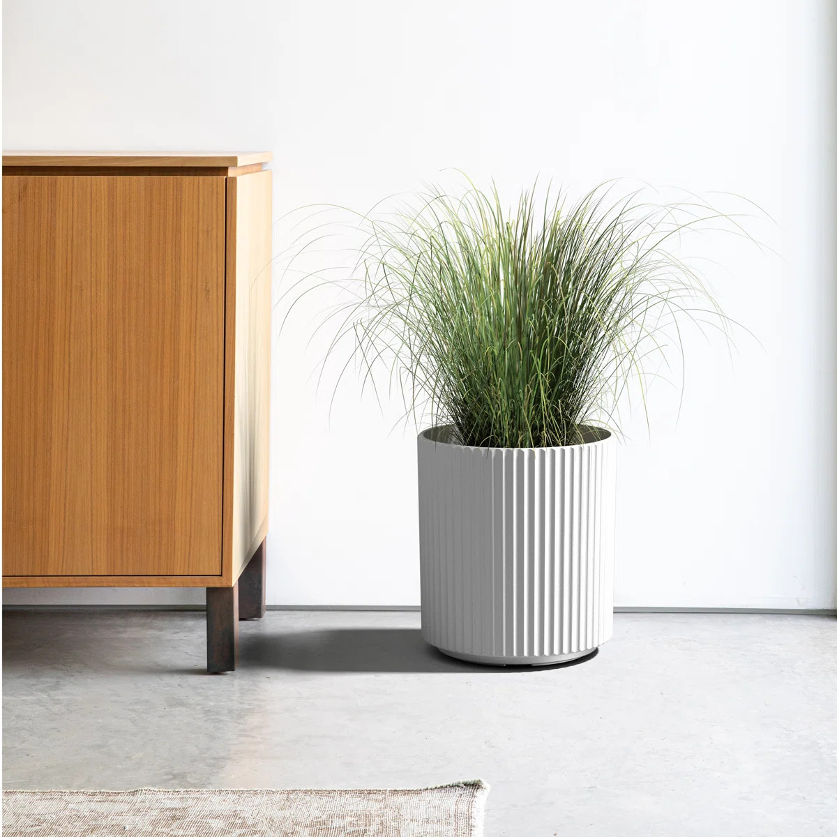Demi Series Round Planter | Wayfair North America